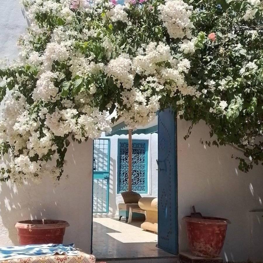 Вілла Djerbahouch Мідун Екстер'єр фото