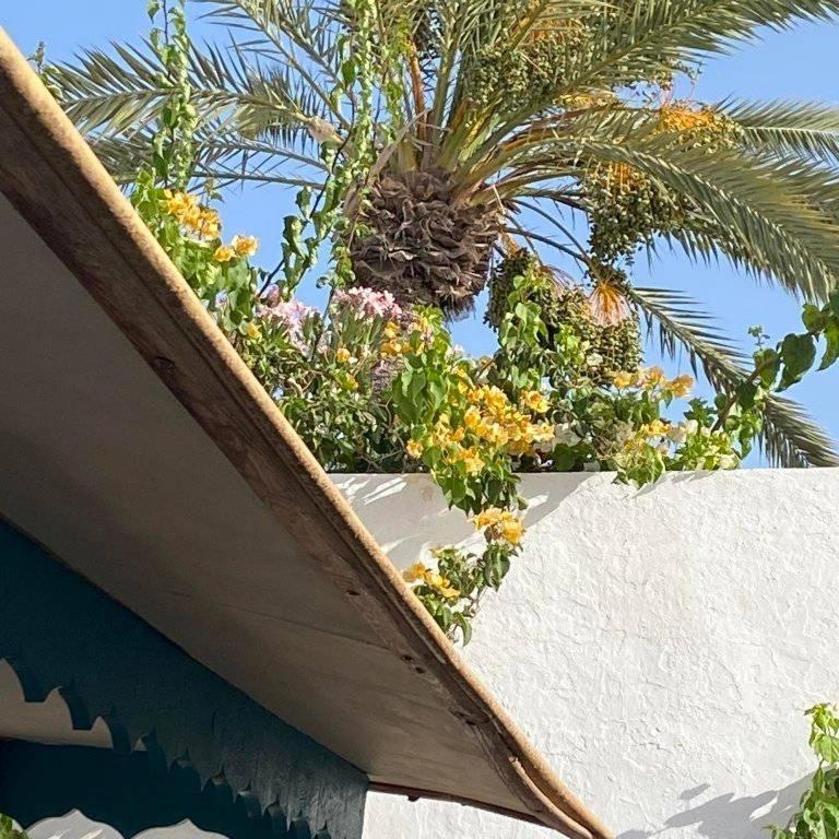 Вілла Djerbahouch Мідун Екстер'єр фото